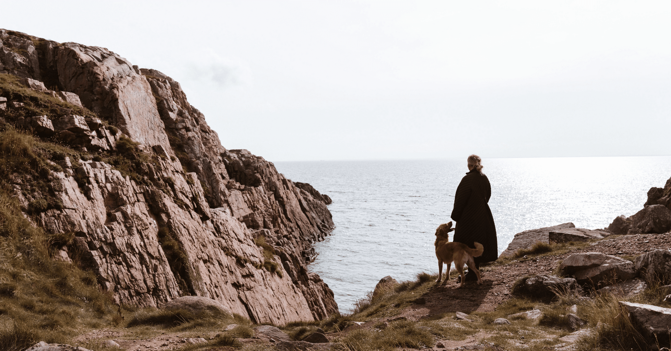 Intervju med Carolina Nilsson – Grundare av WAP Dog Care