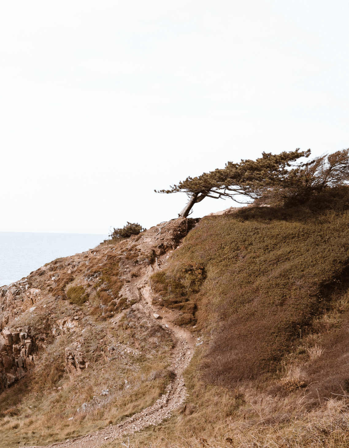 569x730-our-story-page-PBG-äger-bilden-1