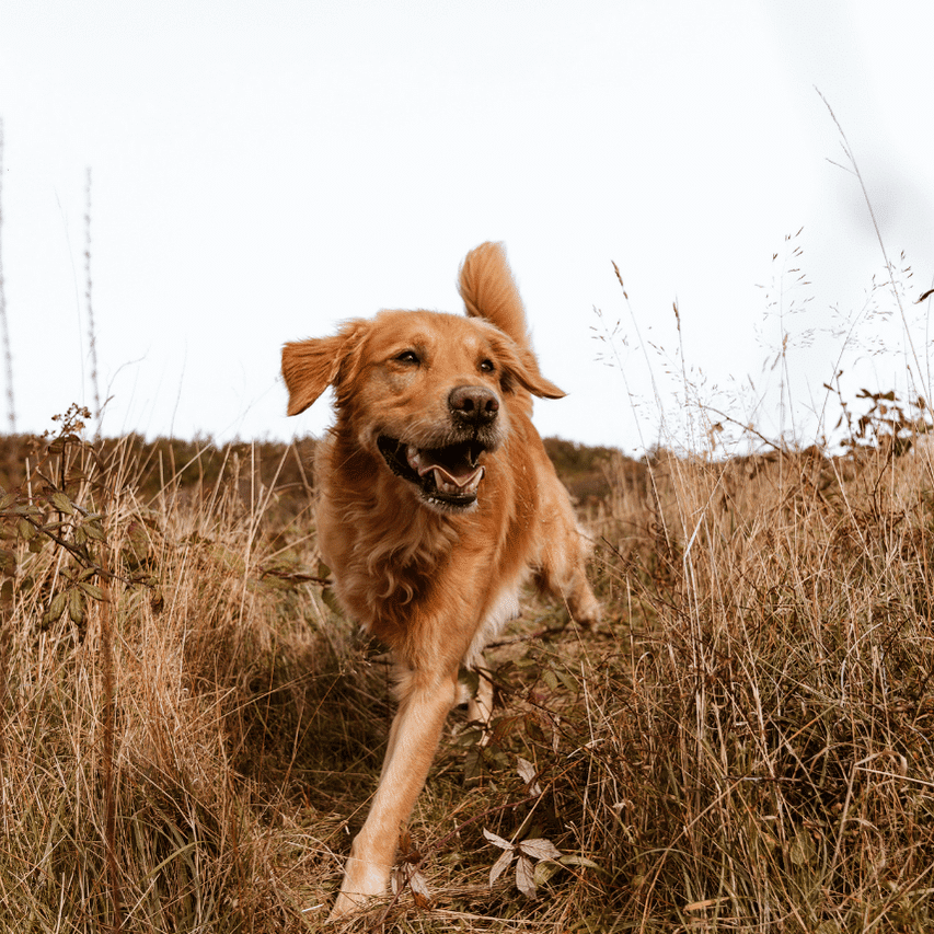 569x758-artikel-Carolina-PBG-äger-bilden-1-1